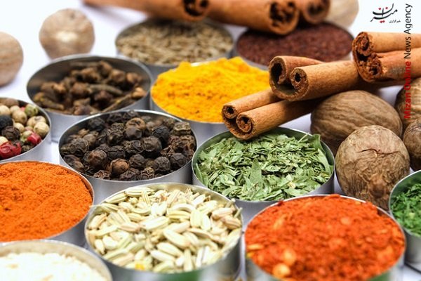 گیاهان دارویی شهاب سنگها مهمان پاییزه اصفهان خواهند شد/برداشت۱۰۰ تن گیاه دارویی در گناباد/ جمعه بازار بزرگ خودرو کرمان افتتاح شد