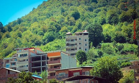 غنیتر از جنگلهای اروپا آغاز برداشت مرغوبترین خرمای جهان/ غنیتر از جنگلهای اروپا، اما در حال انقراض! / افزایش تولید روغن زیتون ایرانی/ سیبزمینی پاییزه همدان قیمتها را کاهش میدهد