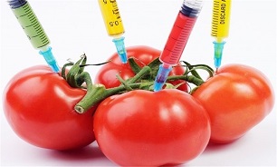 مواد غذایی وارداتی از لحاظ تراریخته بودن از سوی استاندارد بررسی نمی‌شوند