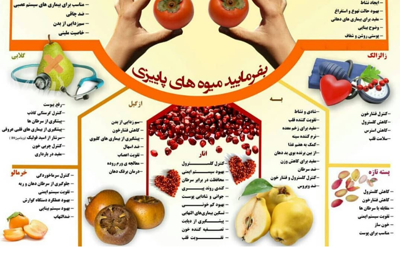 معرفی خواص جادویی میوه های پاییزی +اینفوگرافی