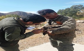 بازگشت دومین پرنده شکاری تیمار شده به طبیعت کهگیلویه وبویراحمد بازگشت دومین پرنده شکاری تیمار شده به طبیعت کهگیلویه وبویراحمد