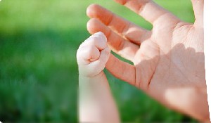 4 واقعه مهم زندگی در شناسنامه