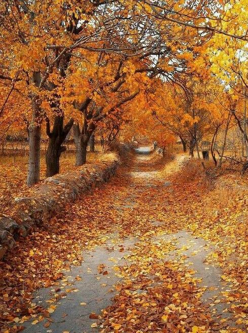 نمایی از پاییز زیبای خوانسار نمایی از پاییز زیبای خوانسار