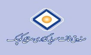 صندوق ضمانت سرمایه گذاری صنایع کوچک از شمول واگذاری‌ها خارج شد