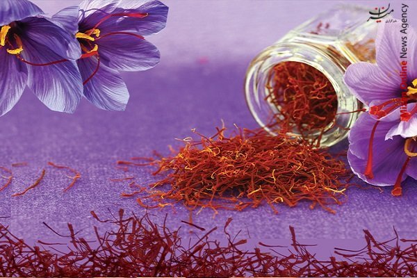 تولید بیش از ۲۳ هزار تن گردو در کرمانشاه/ جادههای پرخطر لرستان کدامند؟! / راهاندازی ۳۰۰ اقامتگاه بومگردی در استان کرمان تولید بیش از ۲۳ هزار تن گردو در کرمانشاه/ جادههای پرخطر لرستان کدامند؟! / راهاندازی ۳۰۰ اقامتگاه بومگردی در استان کرمان