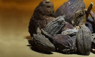 گیاهی که مو‌های سفید را مجددا سیاه می‌کند