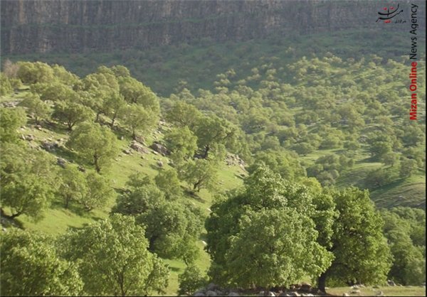همدان امن‌ترین منطقه ایران/ رشد ۶۵ درصدی تولید میگو در گلستان/ خرید بیش از ۳۲ تن برنج از کشاورزان الموت غربی/ احیاء ۴۰۰۰ هکتار از جنگل‌های کهگیلویه و بویراحمد