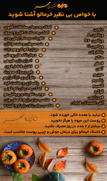 خواص بی نظیری که درباره خرمالو نمی‌دانستید +اینفوگرافی