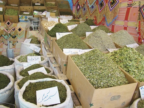 کردستان روی ریل گردشگری سلامت ایران/ تولید ۲۵۰ هزار تن محصولات باغی در کرمانشاه/ برداشت سالیانه ۶۰۰ میلیون مترمکعب آب از سفرههای زیرزمینی/ رویش پارک طبیعت از دل تپه زباله کردستان روی ریل گردشگری سلامت ایران/ تولید ۲۵۰ هزار تن محصولات باغی در کرمانشاه/ برداشت سالیانه ۶۰۰ میلیون مترمکعب آب از سفرههای زیرزمینی/ رویش پارک طبیعت از دل تپه زباله