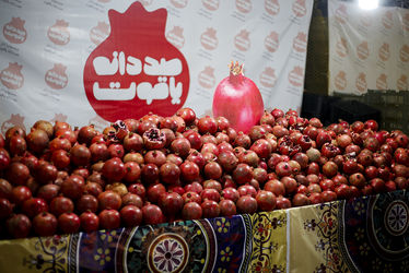 برگزاری اولین 