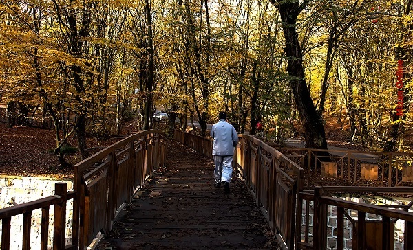 طبیعت پاییزی النگدره+عکس