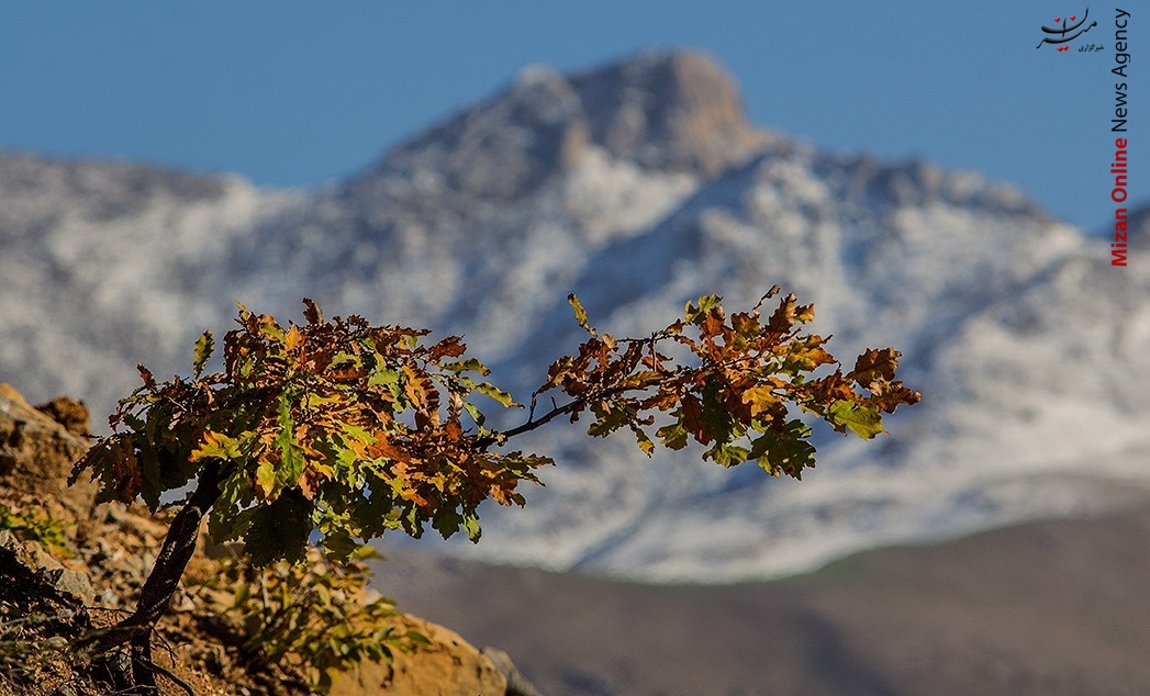 انتهای پائیـــــــــــــز انتهای پائیـــــــــــــز