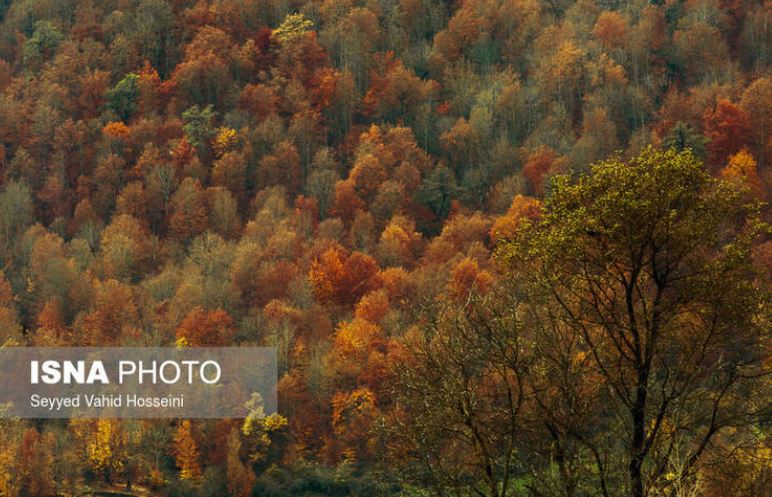 تصاویری دیدنی از پاییز رویایی سواد کوه