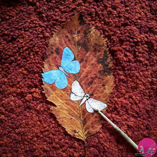 تبدیل برگ های بی جان به قابی زیبا از نقاشی + تصاویر
