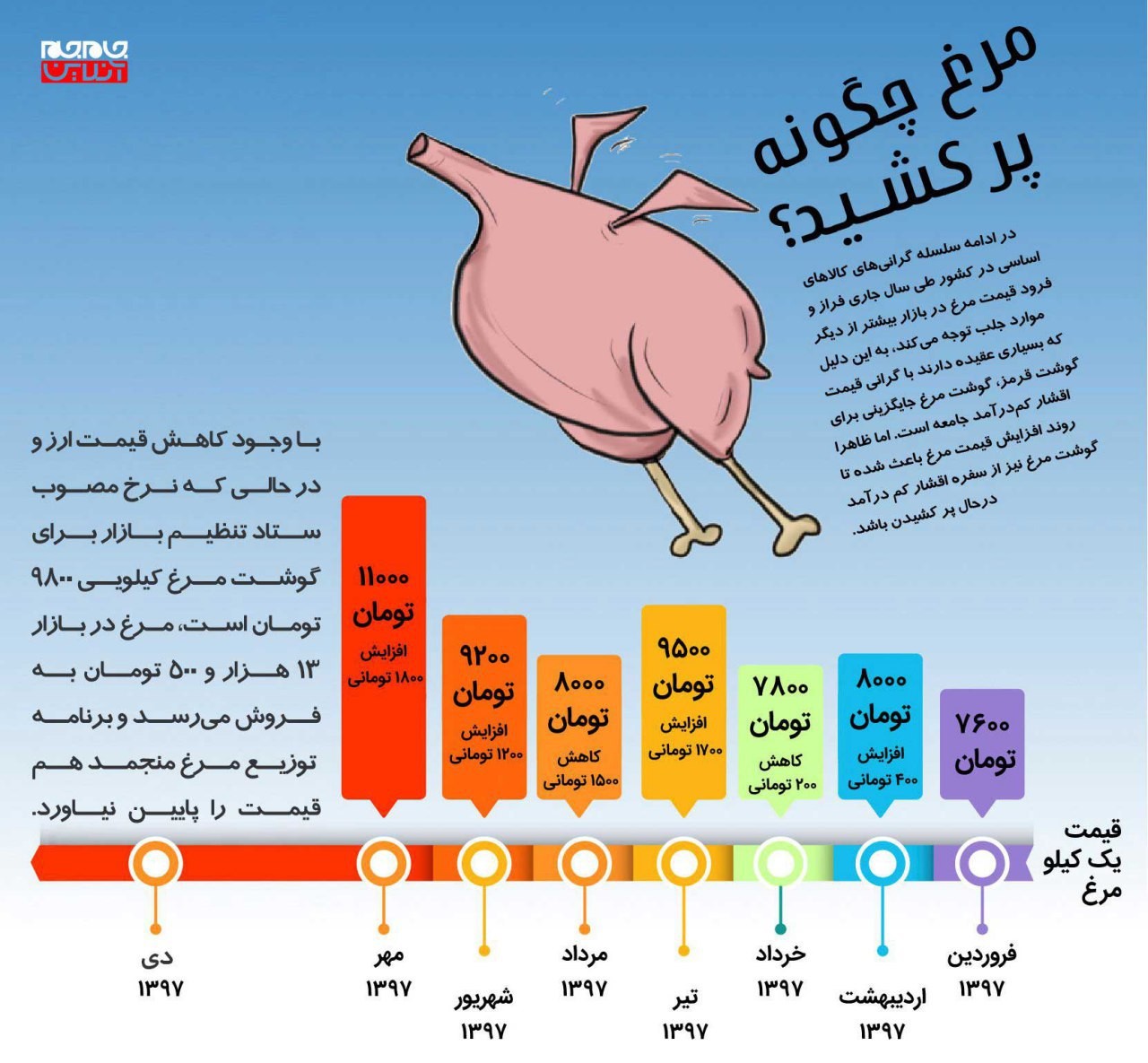 مرغ چگونه پر کشید؟ +اینفوگرافی