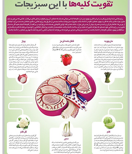 معرفی سبزیجاتی برای تقویت کلیه ها! +اینفوگرافی معرفی سبزیجاتی برای تقویت کلیه ها! +اینفوگرافی