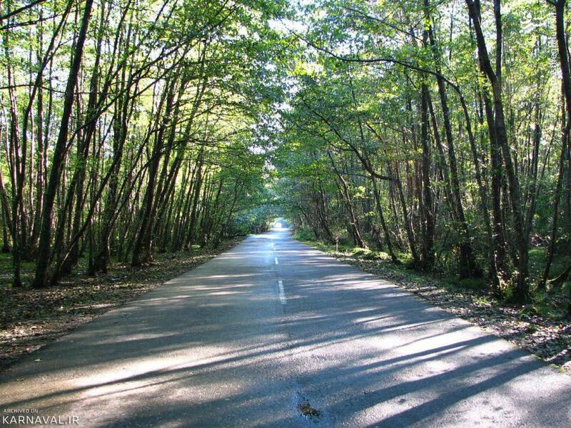 طبیعت زیبای پارک جنگلی گیسوم +تصاویر طبیعت زیبای پارک جنگلی گیسوم +تصاویر
