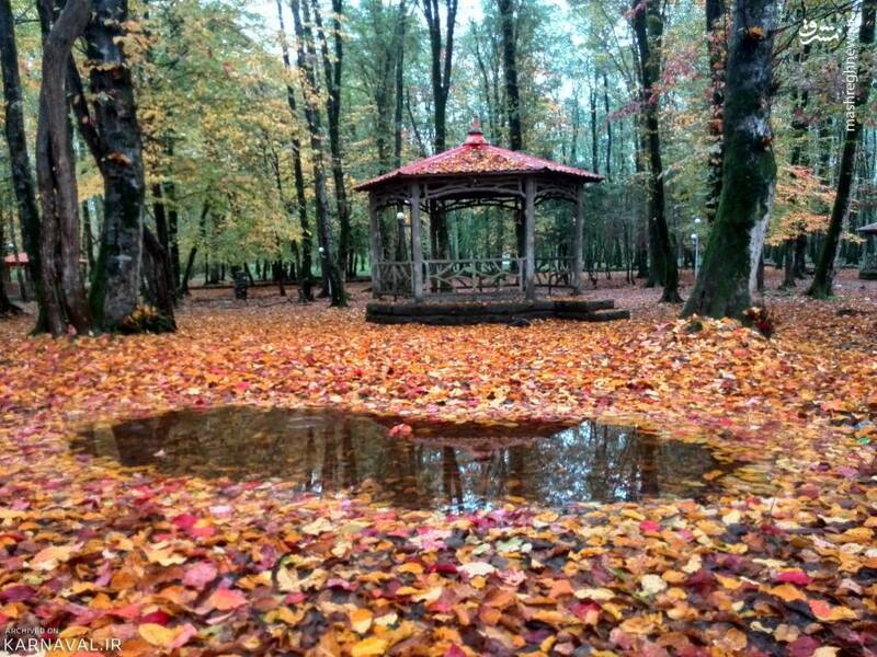 طبیعت زیبای پارک جنگلی گیسوم +تصاویر طبیعت زیبای پارک جنگلی گیسوم +تصاویر