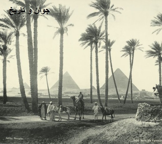 «مصر» ۱۴۰سال قبل چگونه بود؟ + تصاویر «مصر» ۱۴۰سال قبل چگونه بود؟ + تصاویر