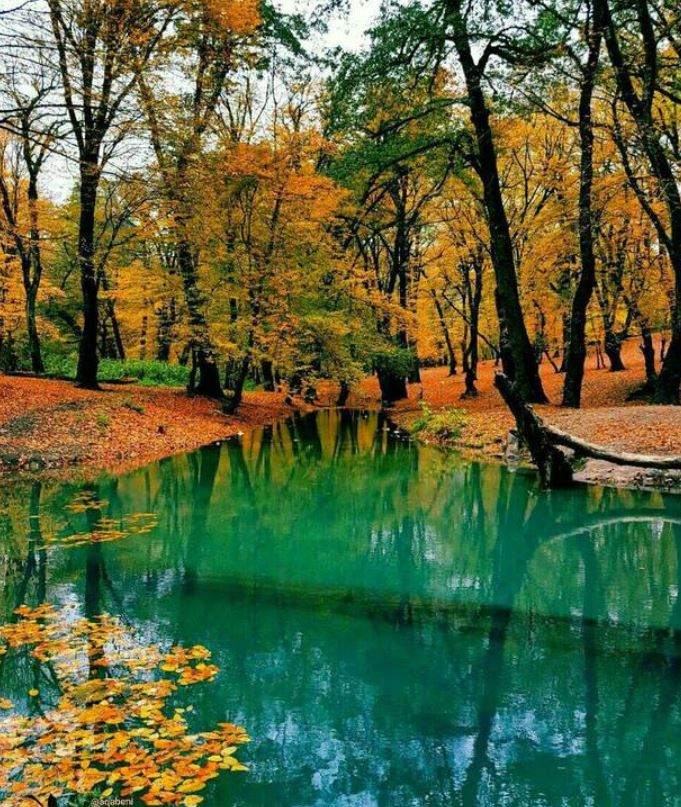 طبیعت چشم نواز گلستان +عکس طبیعت چشم نواز گلستان +عکس