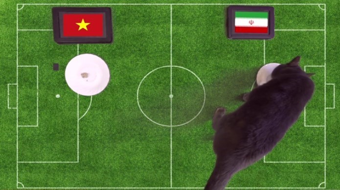 از چهارگوشه جام هفدهم با «میزان»/ استراليا در انديشه كسب اولين برد
