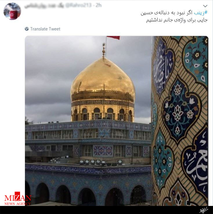 واکنش کاربران فضای مجازی نسبت به میلاد حضرت زینب (س) +تصاویر واکنش کاربران فضای مجازی نسبت به میلاد حضرت زینب (س) +تصاویر