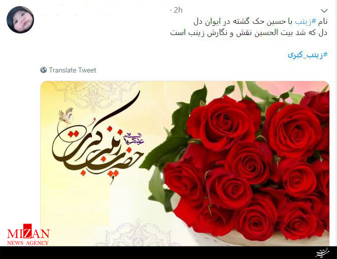 واکنش کاربران فضای مجازی نسبت به میلاد حضرت زینب (س) +تصاویر واکنش کاربران فضای مجازی نسبت به میلاد حضرت زینب (س) +تصاویر