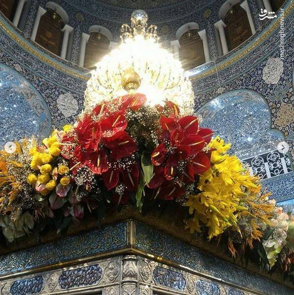 تصاویری از گلآرایی حرم حضرت زینب (س) تصاویری از گلآرایی حرم حضرت زینب (س)