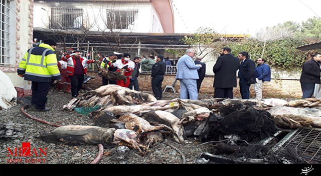 خروج لاشه‌های گوسفند از هواپیمای بوئینگ ۷۰۷