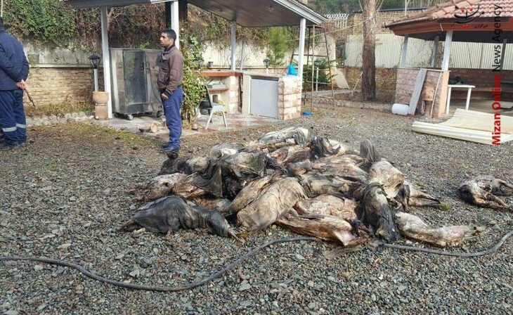 تصویری از محموله هواپیمای بوئینگ تصویری از محموله هواپیمای بوئینگ