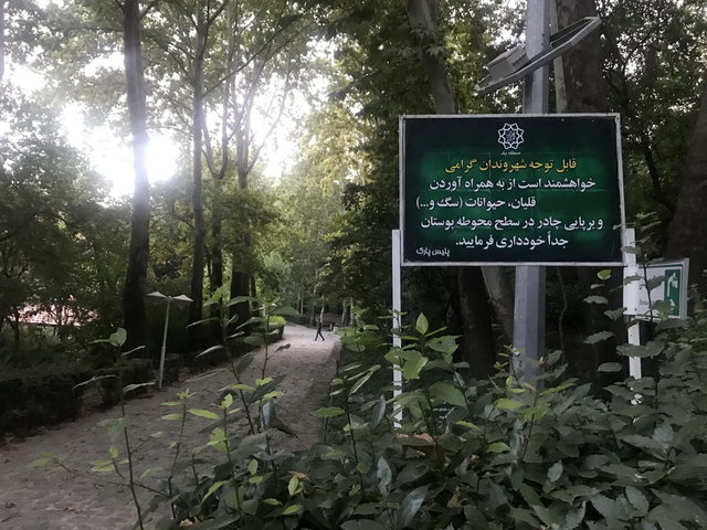 واکنش شهرداری لواسان به حمله سگ به دختر بچه/ حمله سگ شکاری به دختر بچه در پارک لواسان تکذیب شد واکنش شهرداری لواسان به حمله سگ به دختر بچه/ حمله سگ شکاری به دختر بچه در پارک لواسان تکذیب شد