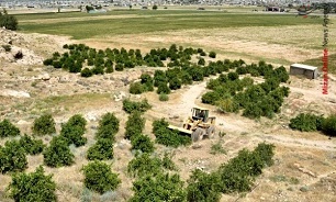 در حال ادیت