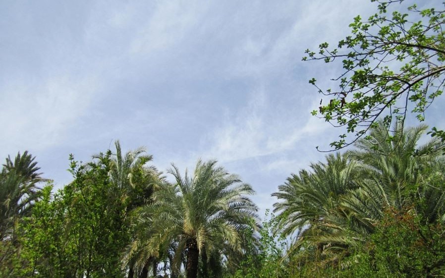 باغ گلشن طبس باغ گلشن طبس