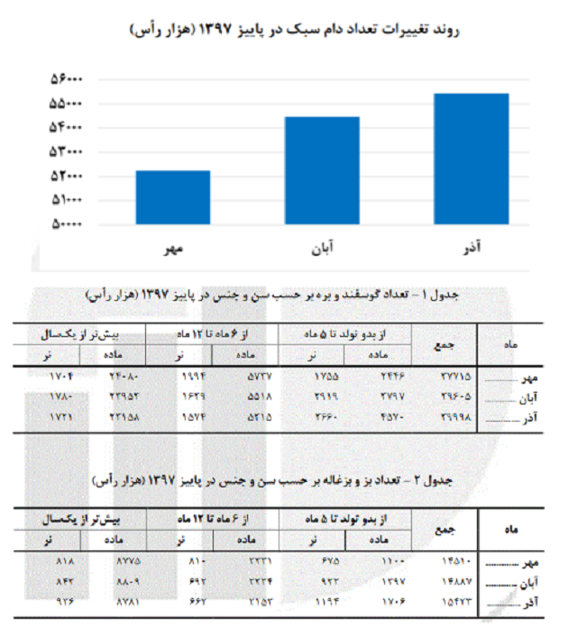 تعداد دام سبک در دامداری‌های کشور افزایش یافت