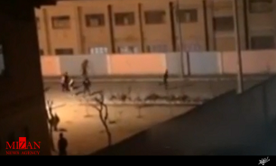 یک نفر از اخلاگران نظم در شهرستان ملارد دستگیر شد