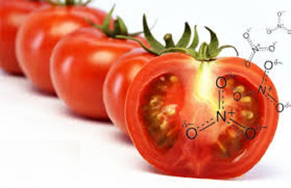 گوجه فرنگی 