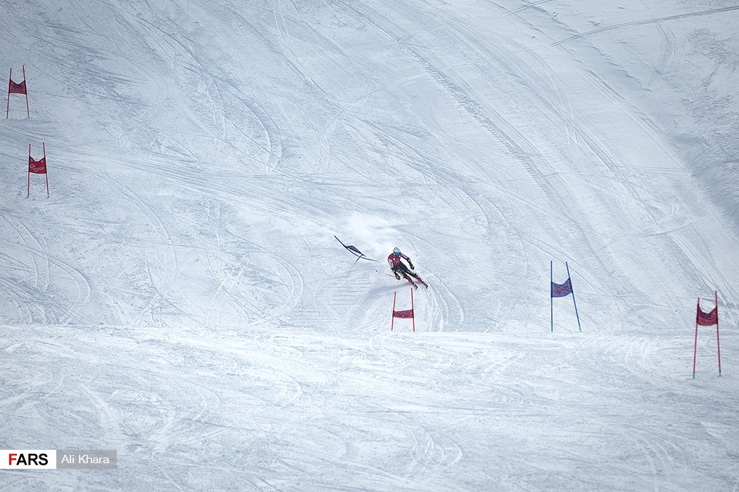تصاویری از رقابت‌های بین‌المللی پارا اسکی