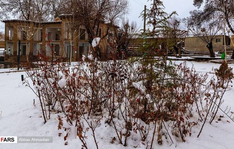 زمستانی بینظیر در چمشه علی +تصاویر زمستانی بینظیر در چمشه علی +تصاویر