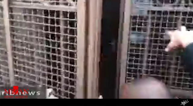 بازگشایی باب الرحمه در مسجد الاقصی پس از ۱۶ سال بازگشایی باب الرحمه در مسجد الاقصی پس از ۱۶ سال