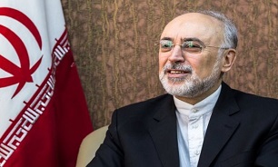 صالحی:بسیج عنصری برای تحقق آرمان‌های ماست