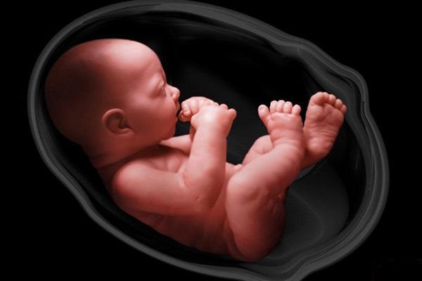 تربیت فرزند را از کجا شروع کنیم؟ -۱- تربیت فرزند را از کجا شروع کنیم؟ -۱-