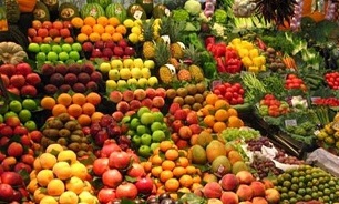 ثبات قیمت میوه برای شب عید/ میوه‌های عید از کیفیت زیادی برخوردار اند