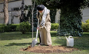 کاشت دو نهال میوه توسط رهبر انقلاب