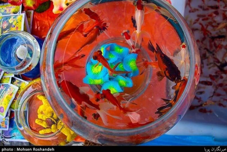 بازار تهران در روزهای آخرسال +تصاویر بازار تهران در روزهای آخرسال +تصاویر