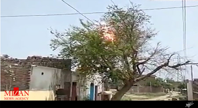 برق گرفتگی درخت برق گرفتگی درخت