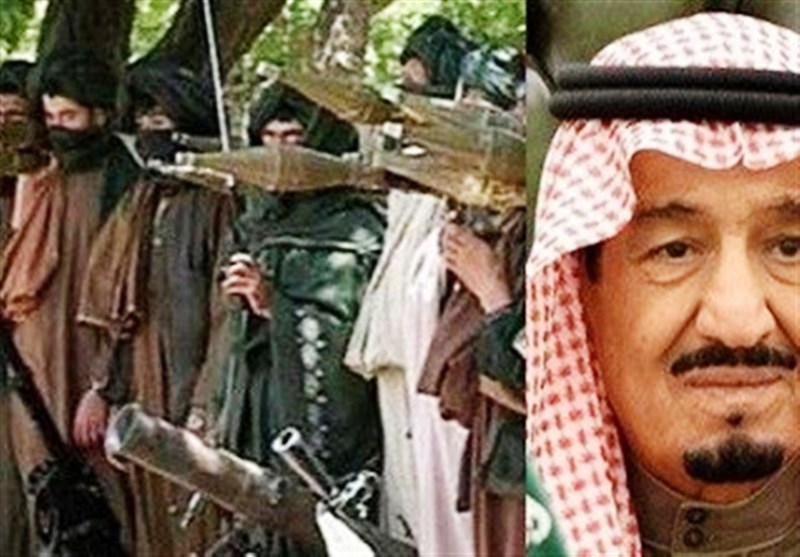 استاندار هرات: سعودی،