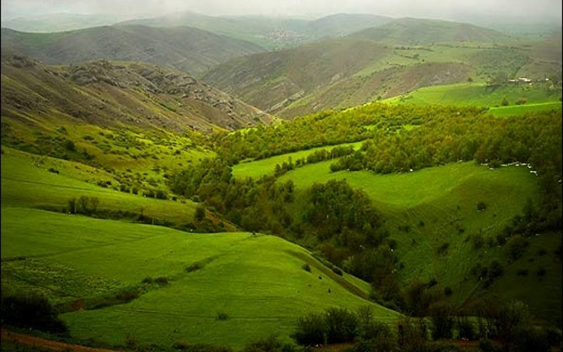 ارسباران؛ بکرترین جنگل‌ ایران +معرفی راه های دسترسی و تصاویر