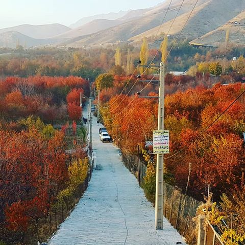 روستای افجه روستای افجه