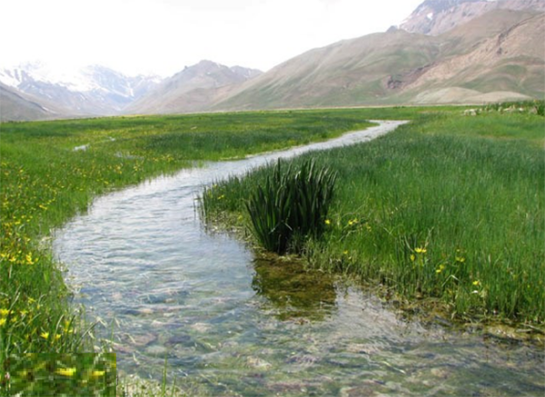 روستای افجه روستای افجه