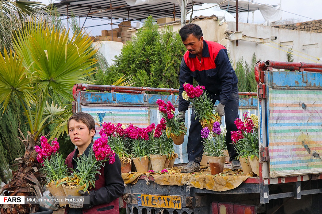 بازار گل و گیاه قصرالدشت شیراز در آستانه سال نو +تصاویر